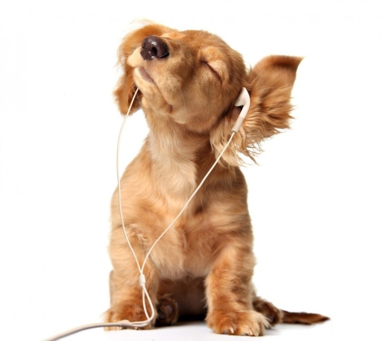 Возможно, скоро российский интернет будет фильтроваться по-умолчанию