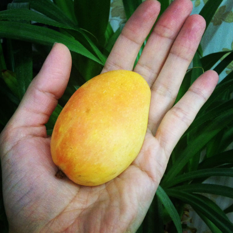 Съедобные зарисовки...