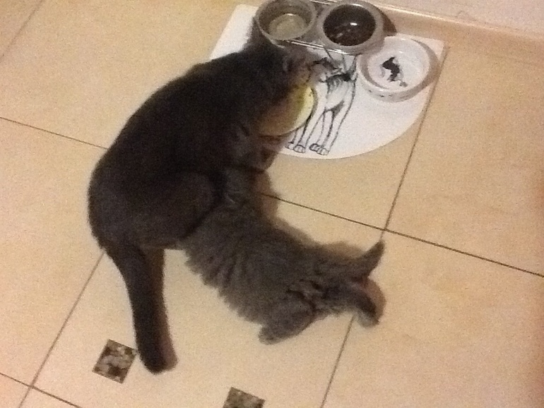 Ни минуты покоя