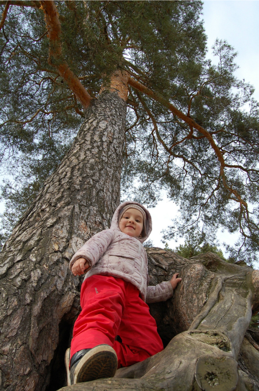 Далеко гляжу