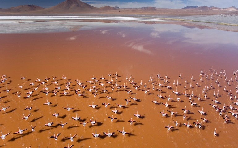 как ОНИ делают ЭТО