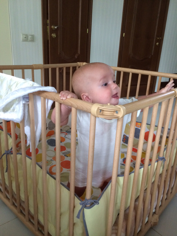 6 месяцев и две недели!!