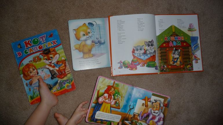 ТН Домашние любимцы - День 2 - Котята