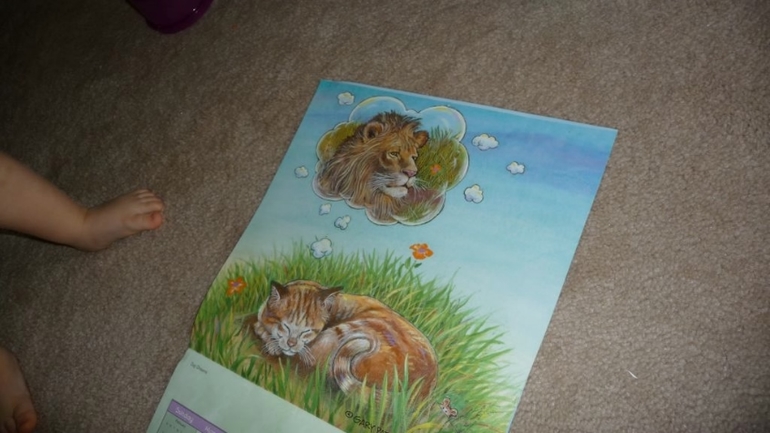 ТН Домашние любимцы - День 2 - Котята