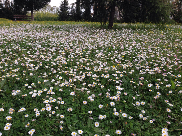 Весна пришла,весне дорогу)))