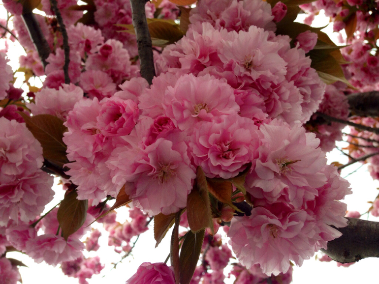 Утренние зарисовки)))