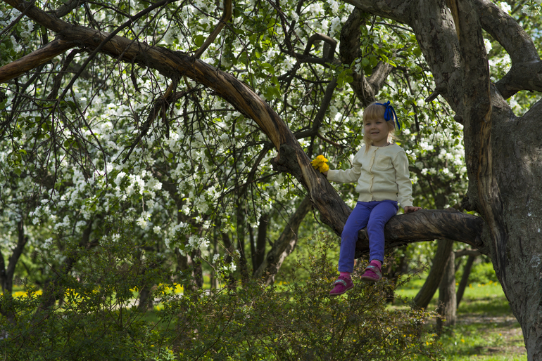 Погуляли в парке...