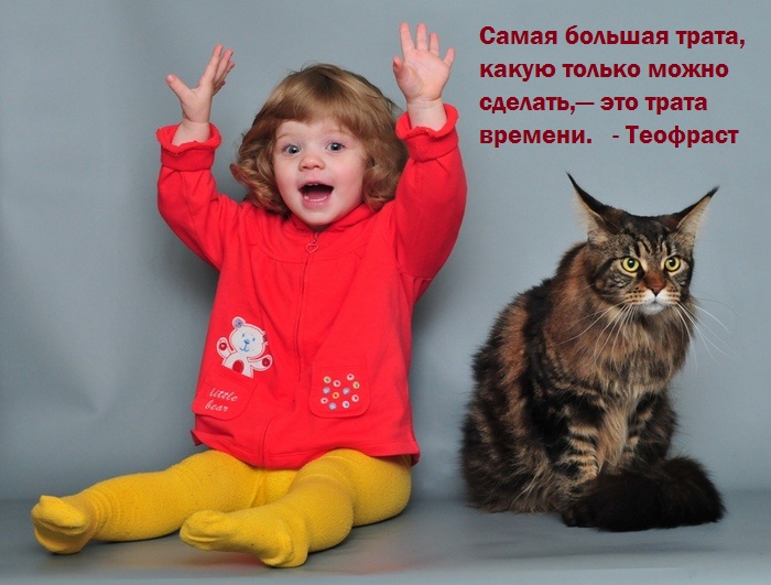 Статус о детях и кошках Статус о детях и кошках