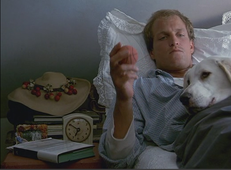 Домик моей мечты