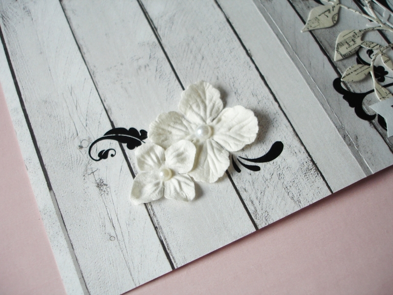 Монохромная обложка на паспорт