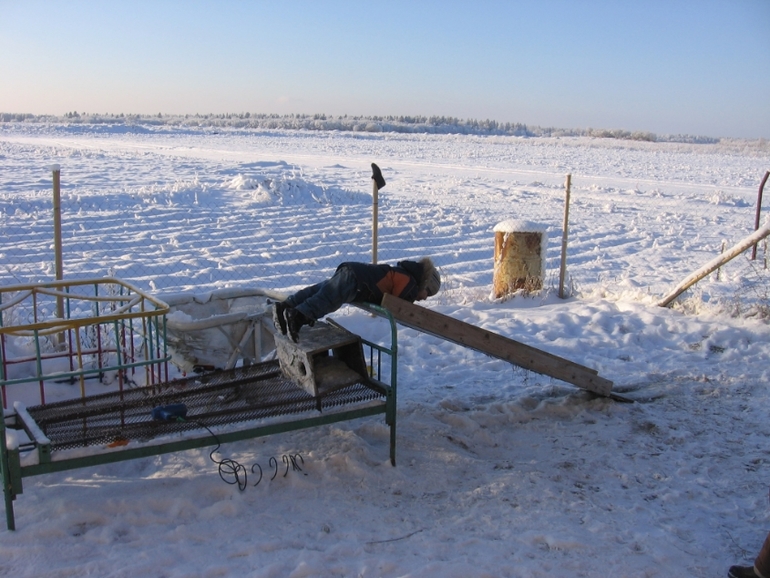 Зимние забавы!