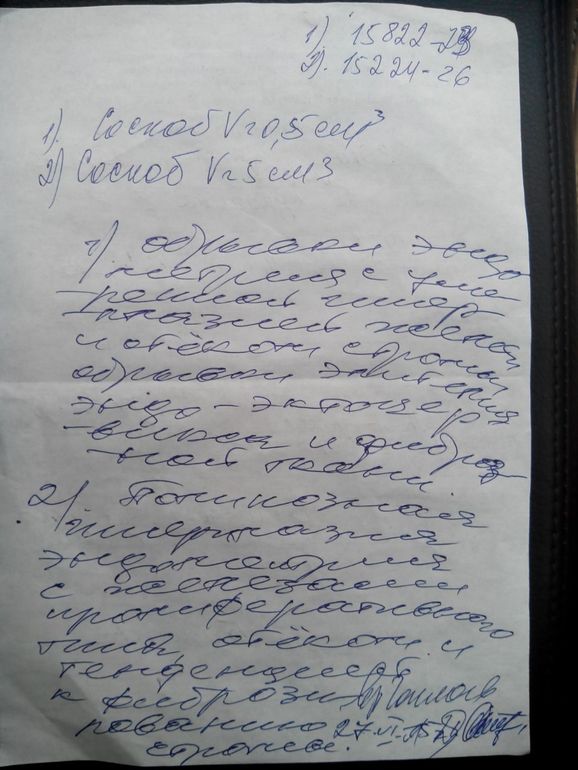 Числа 20 было зачатие Числа 20 было зачатие