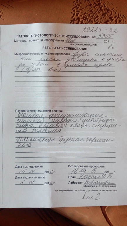 Главная Развивающие