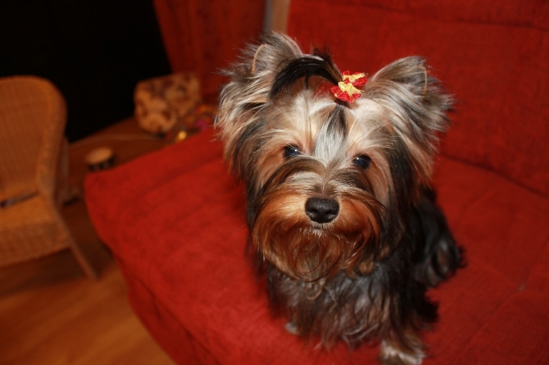 Давно не показывались))