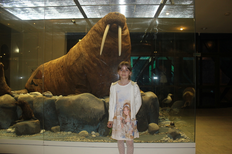 Музей Дарвина...