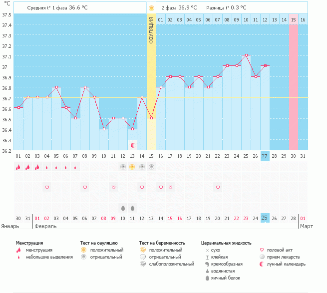 Тесты, надежды.............................