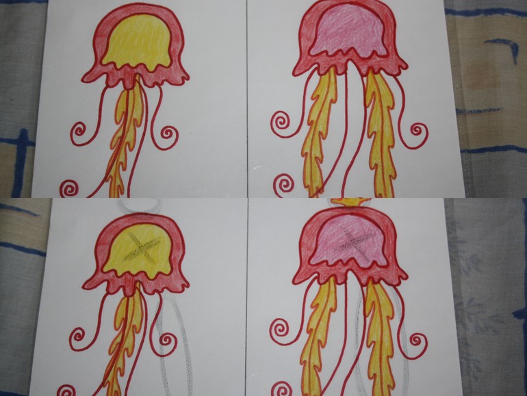 Обитатели морей и океанов.  День 2.