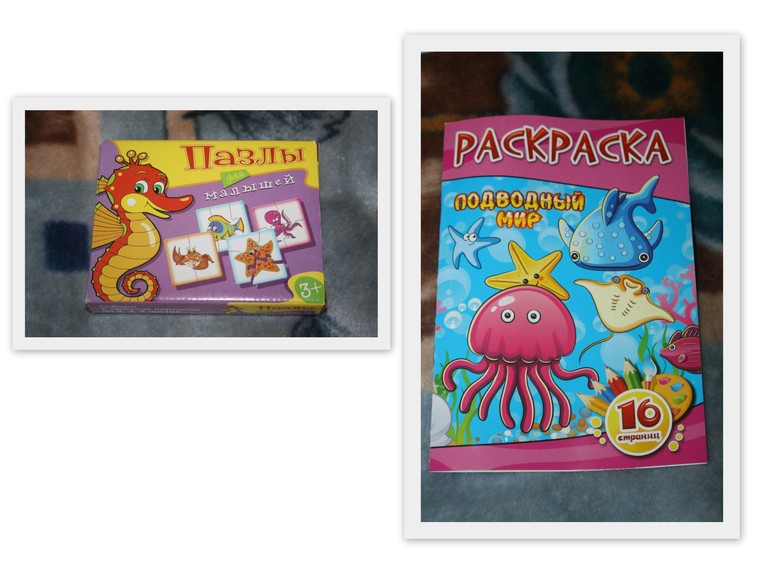 Обитатели морей и океанов.  День 5.