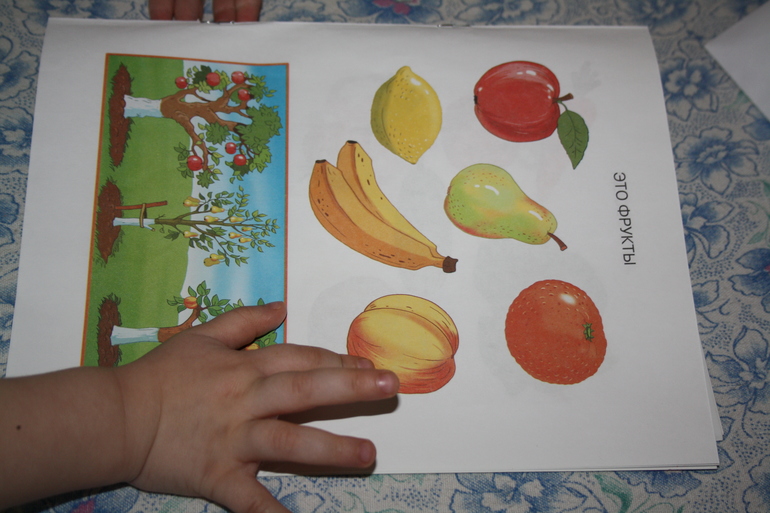 Фрукты. День 4.