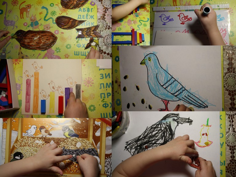 Птицы. 3. Городские.