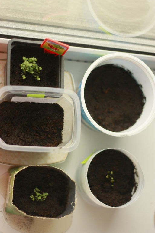 Немного всячины на подоконнике)