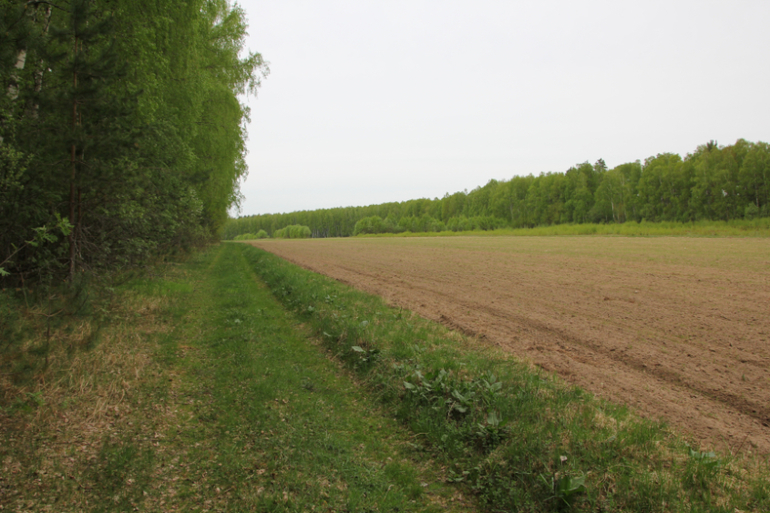 Продаю участок 5 Га