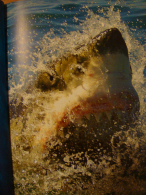 Пополнение библиотеки для Вовика