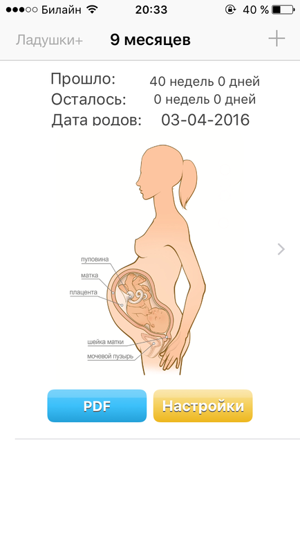 Дата родов вторая беременность