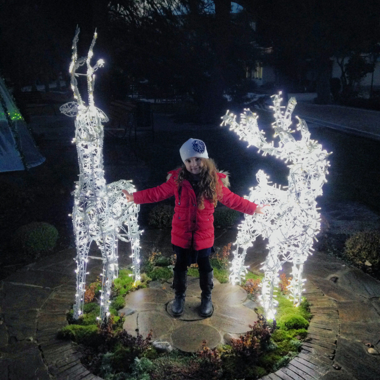 Новый год 2014