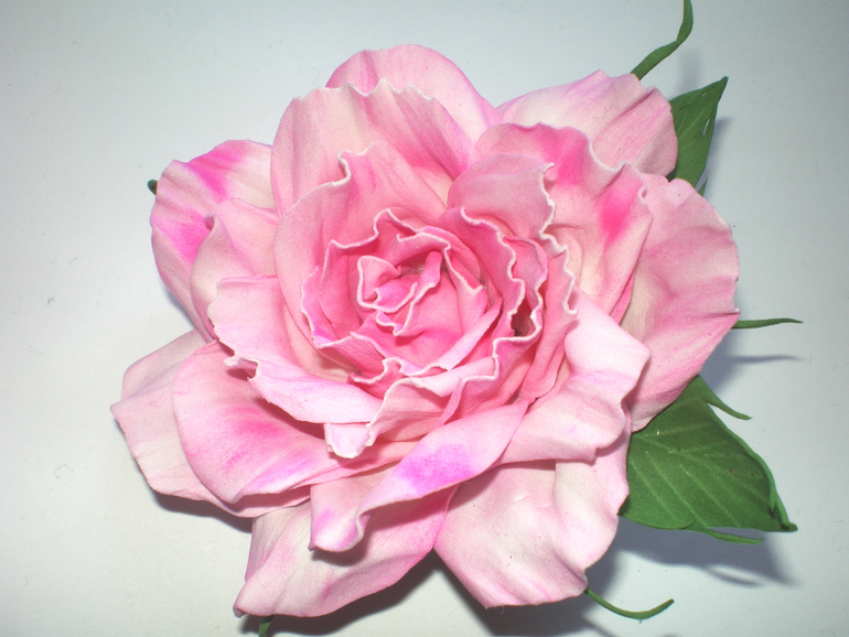 мои фомочки))