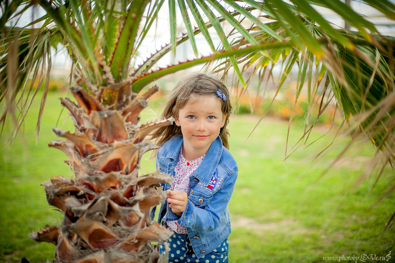 Виолетта. Летнее