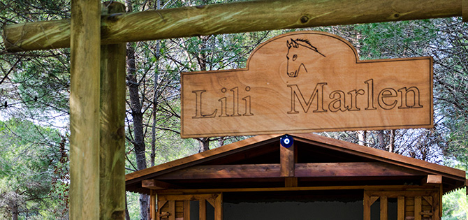 Отдых с детьми в Турции.Gloria Verde Resort 5*