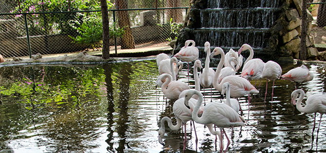 Отдых с детьми в Турции.Gloria Verde Resort 5*