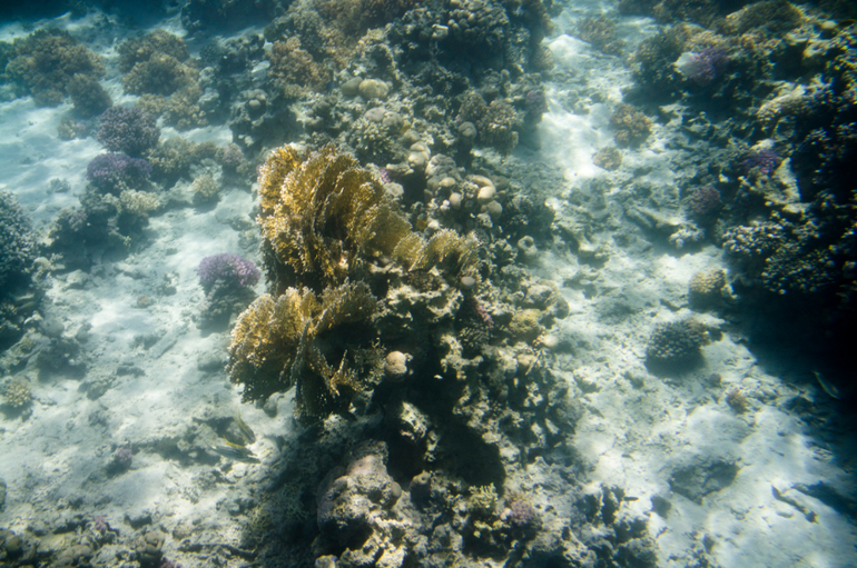 А мы слетали в Египет!