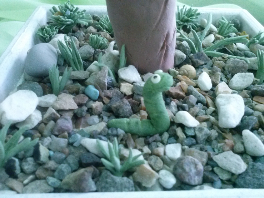 Бонсай "Яблочный вкус"