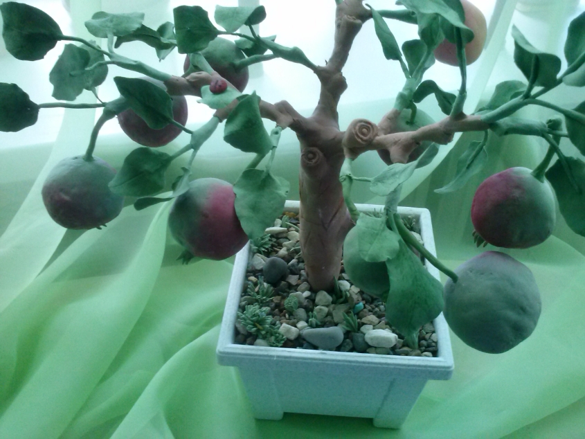Бонсай "Яблочный вкус"