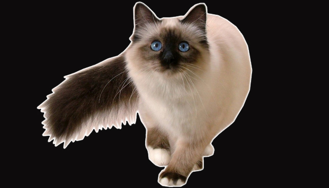 УРОК №2 ВЫРЕЗАЕМ ОБЪЕКТ