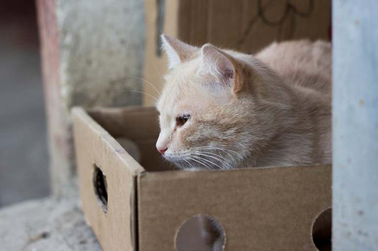 Весна пришла.Уррра