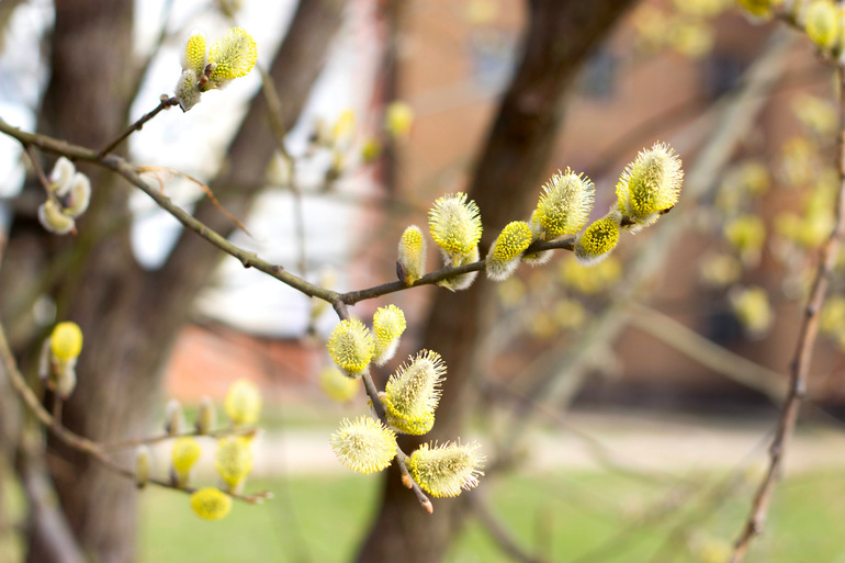 Весна пришла.Уррра