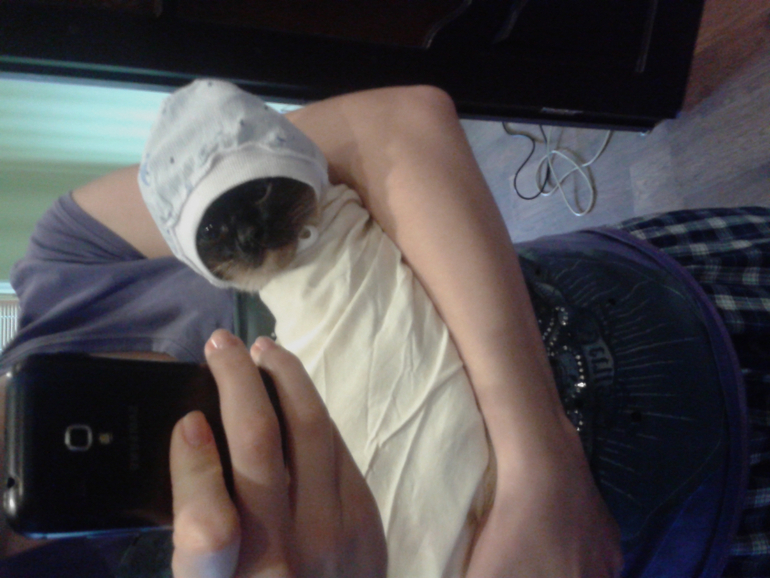 Как развлекается будуущая мама)))