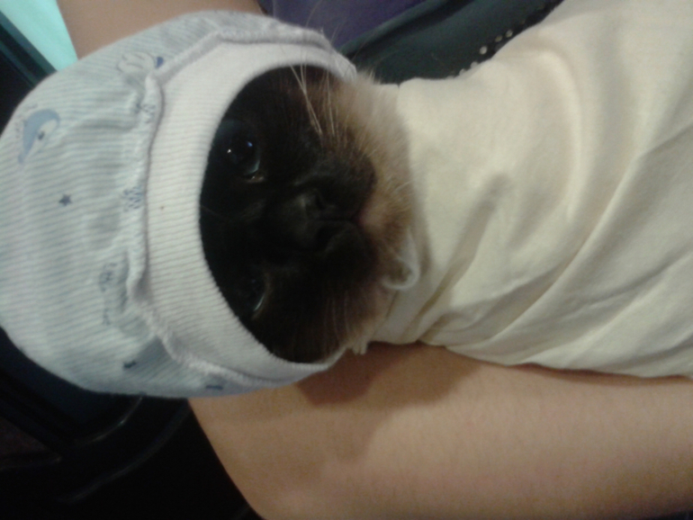 Как развлекается будуущая мама)))