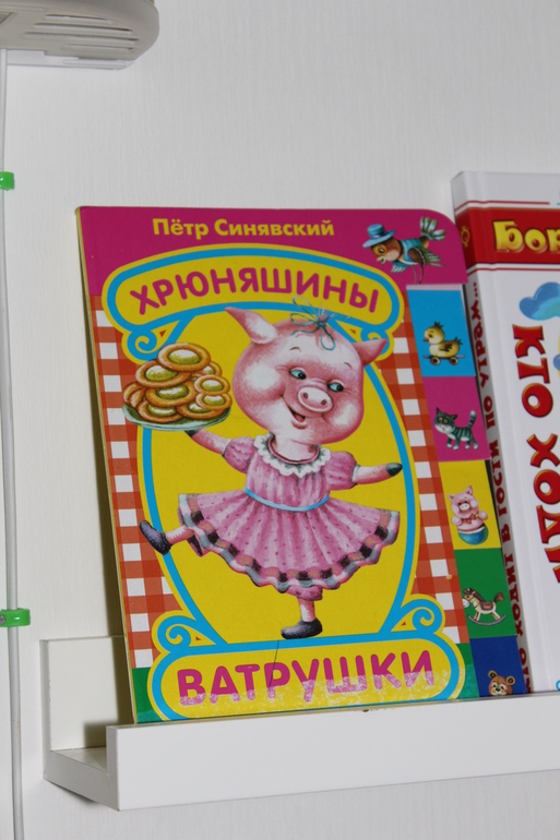 ТН "Домашние животные" 1 день. Вводный