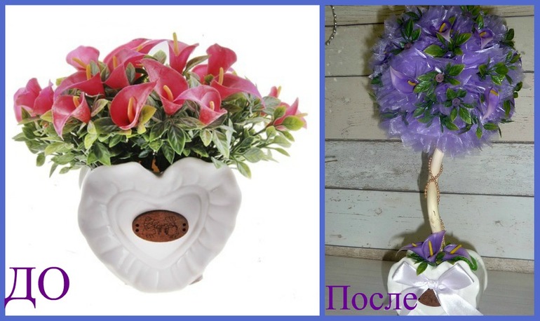 Преображение... Голосуем