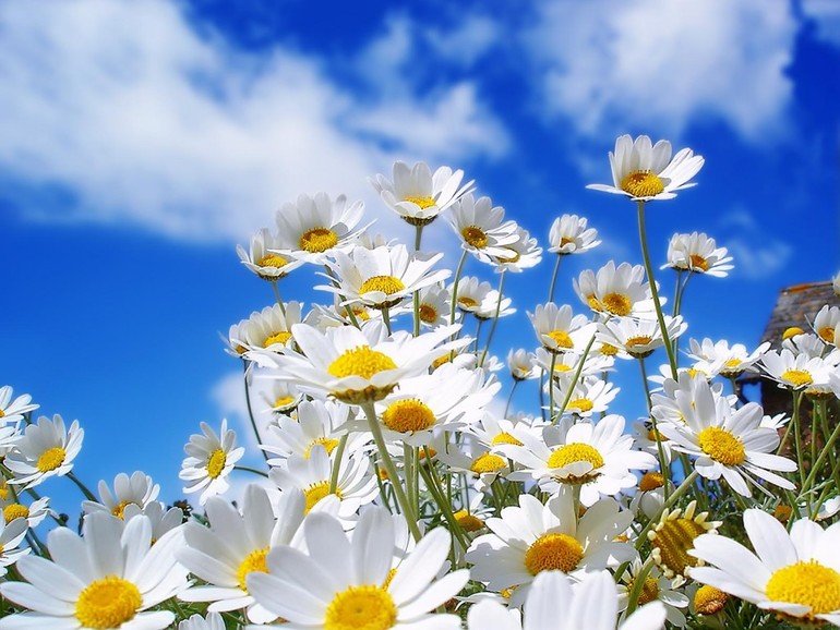 всех с праздником весны!!!!!!!!