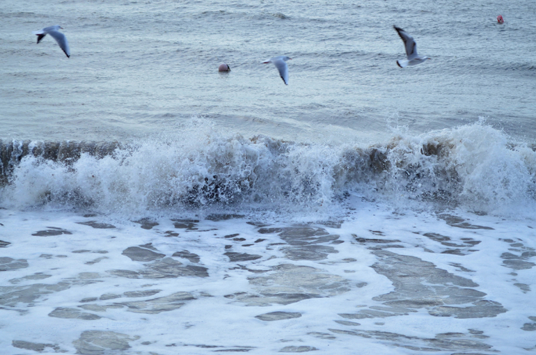 Моя любимая Евпатория))