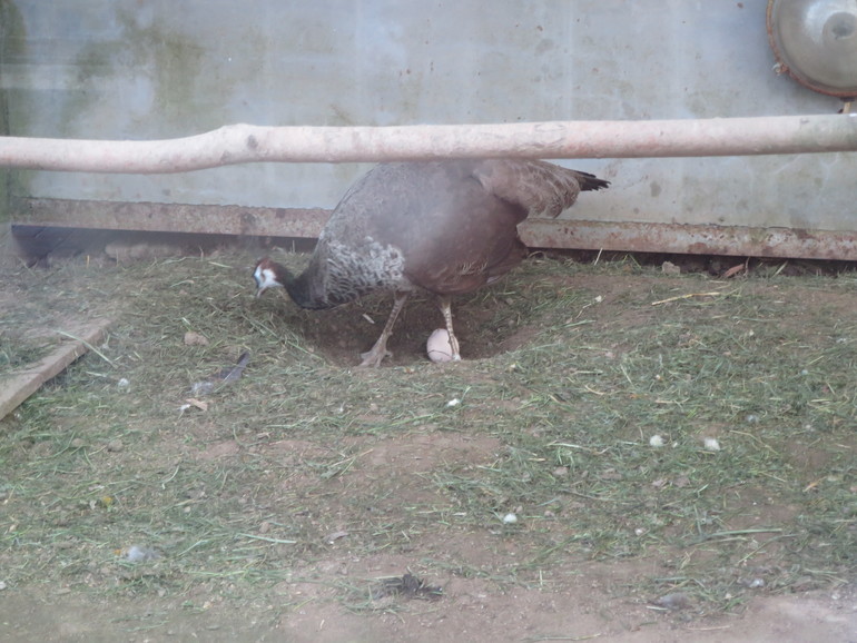 Выходные и не только часть 1