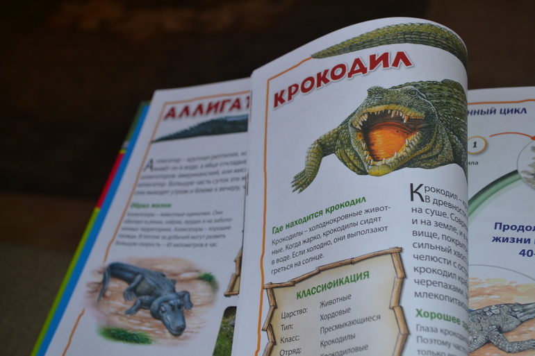 Тематический день: крокодил