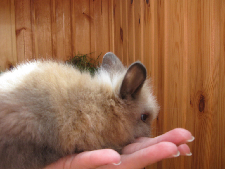 Прибавление!!!