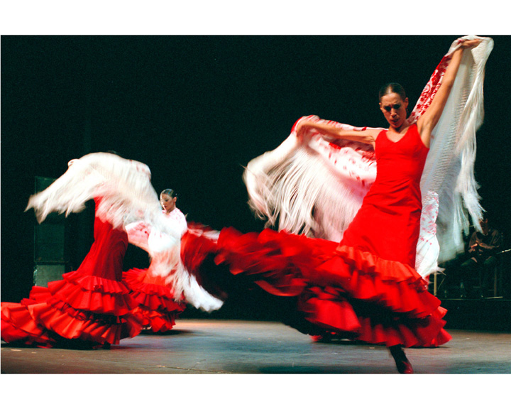 «Огненное фламенко» 8 февраля в 11:30  в Архангельском
