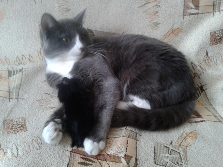 Прощай, мой Гошенька.